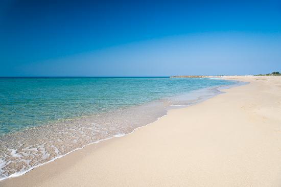 Bed and breakfast In Dimora Di Charme El Salento 3*